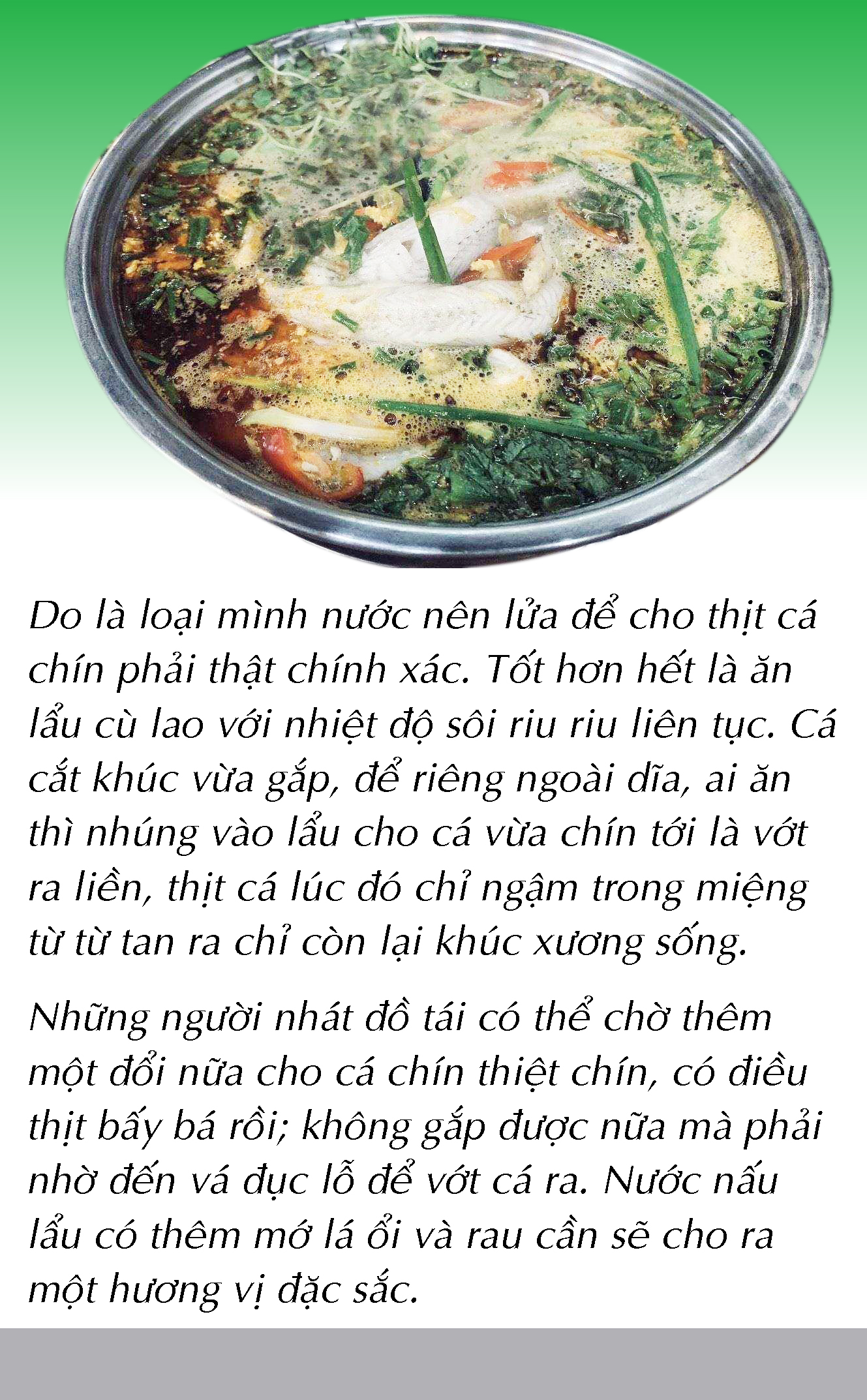 Bắt cá khoai ở biển Cà Mau - Ảnh 15.
