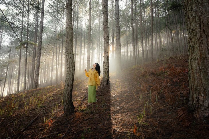 Meet the Ho Chi Minh City ENT doctor who wins high prize at World Food Photography Awards- Ảnh 3. Meet the Ho Chi Minh City ENT doctor who wins high prize at World Food Photography Awards- Ảnh 3.