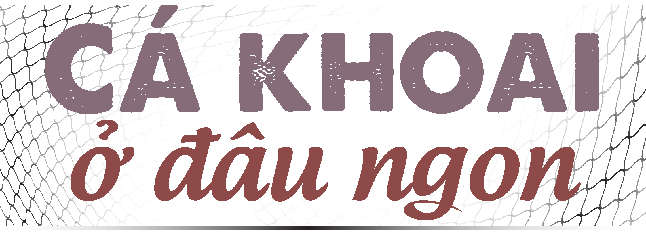 Bắt cá khoai ở biển Cà Mau - Ảnh 14. Bắt cá khoai ở biển Cà Mau - Ảnh 14.
