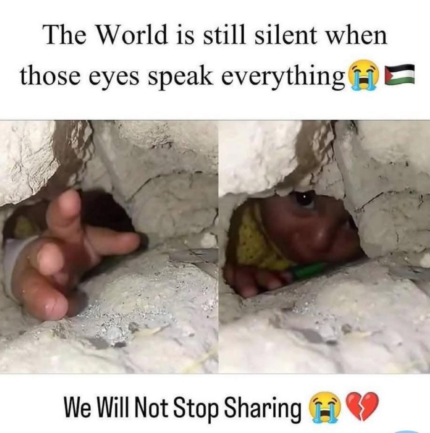 Palestine - Ảnh 1.