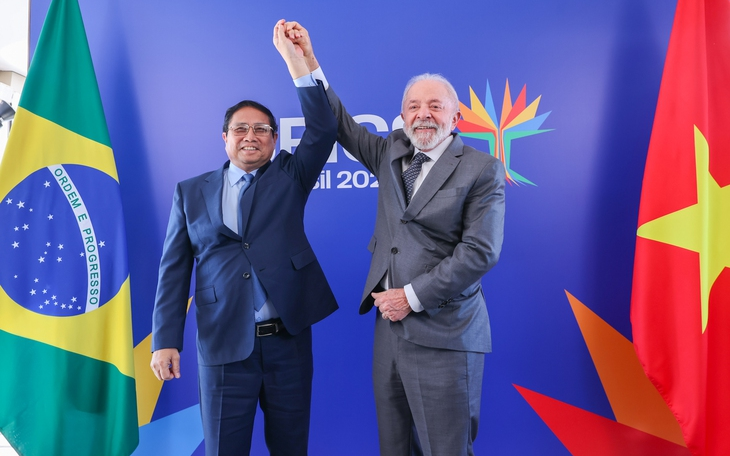 Brazilian firms eye expanded cooperation, investment in Vietnam- Ảnh 5.