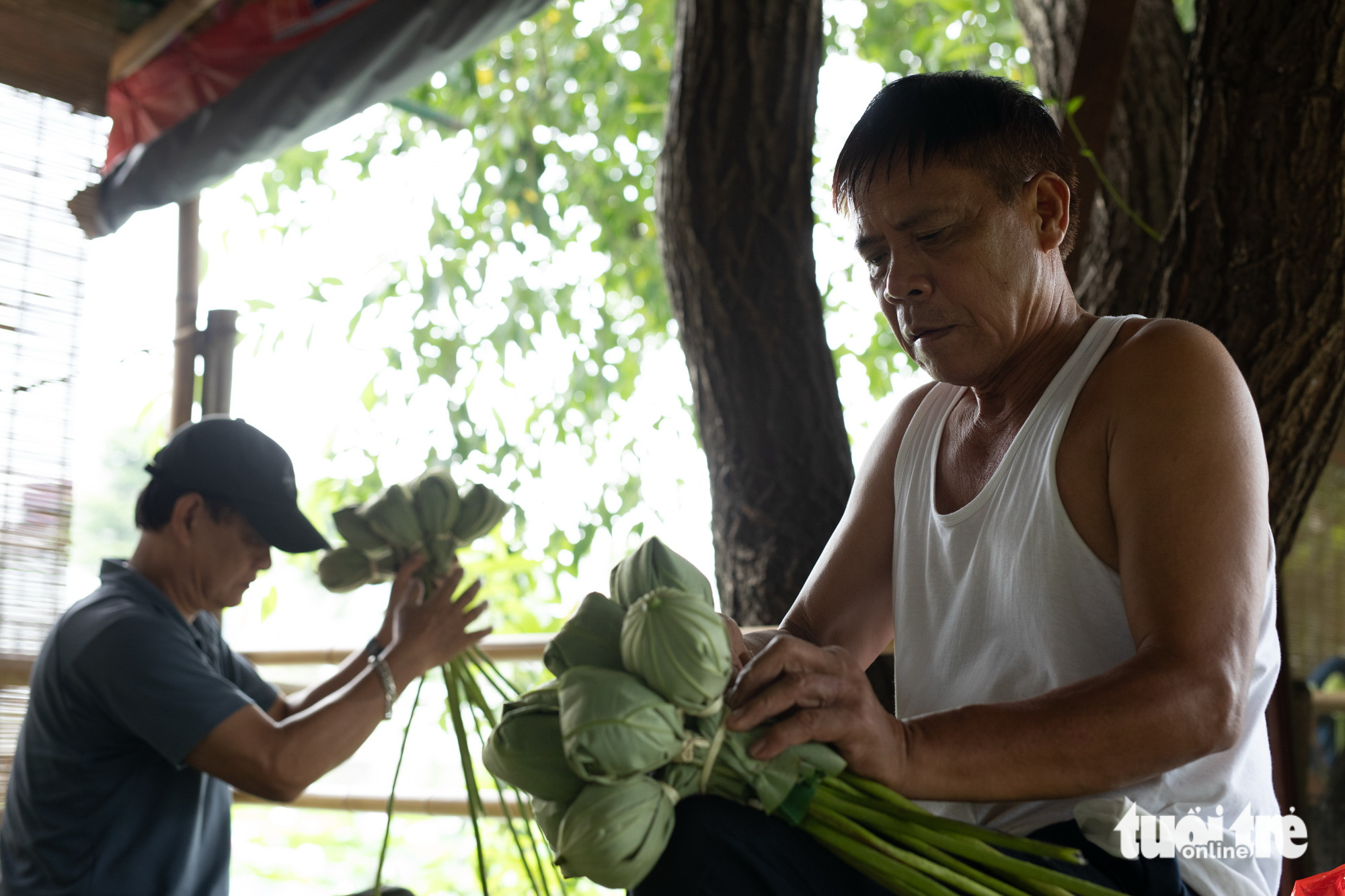 sen bách diệp - Ảnh 7.