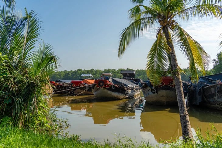 Picturesque photo series of Ben Tre by Ho Chi Minh City photographer- Ảnh 19. Picturesque photo series of Ben Tre by Ho Chi Minh City photographer- Ảnh 19.