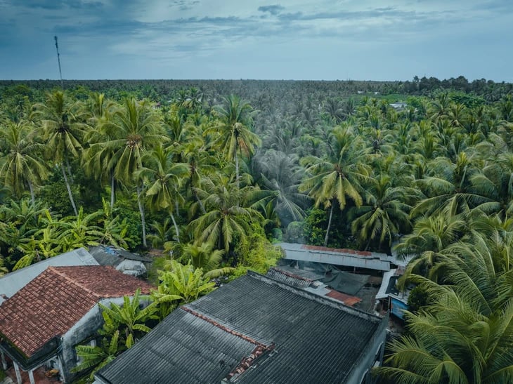Picturesque photo series of Ben Tre by Ho Chi Minh City photographer- Ảnh 10. Picturesque photo series of Ben Tre by Ho Chi Minh City photographer- Ảnh 10.