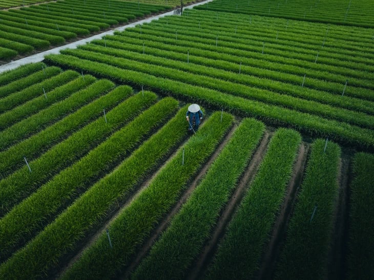 Picturesque photo series of Ben Tre by Ho Chi Minh City photographer- Ảnh 11. Picturesque photo series of Ben Tre by Ho Chi Minh City photographer- Ảnh 11.