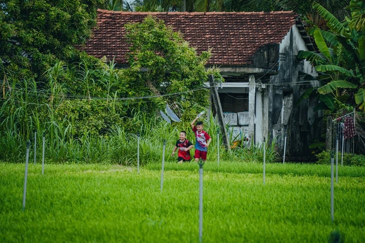 Picturesque photo series of Ben Tre by Ho Chi Minh City photographer- Ảnh 4. Picturesque photo series of Ben Tre by Ho Chi Minh City photographer- Ảnh 4.