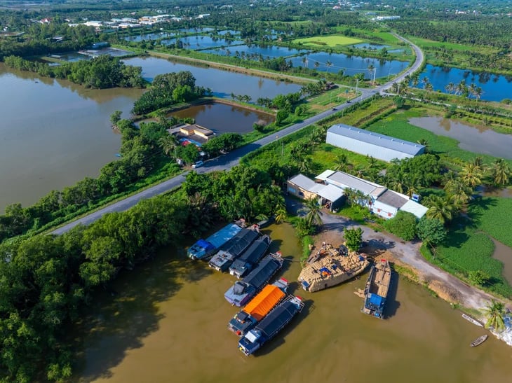 Picturesque photo series of Ben Tre by Ho Chi Minh City photographer- Ảnh 9. Picturesque photo series of Ben Tre by Ho Chi Minh City photographer- Ảnh 9.