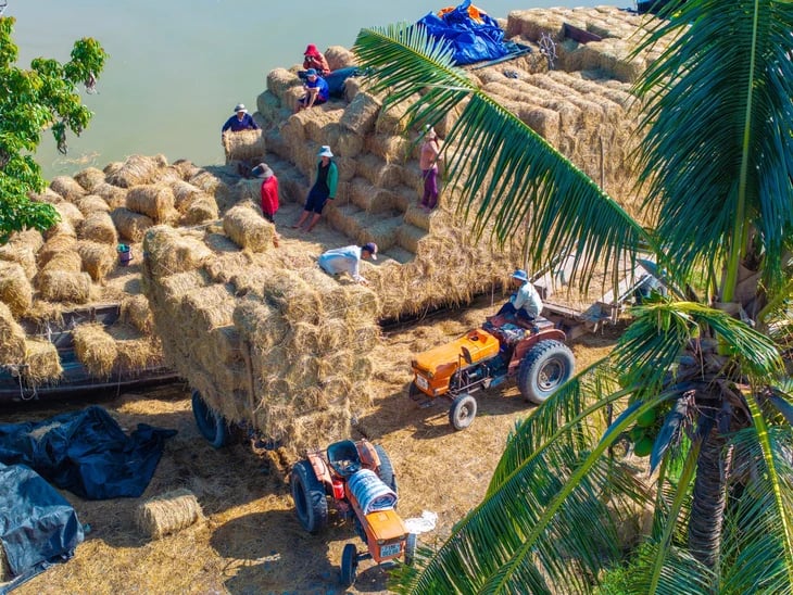 Picturesque photo series of Ben Tre by Ho Chi Minh City photographer- Ảnh 12. Picturesque photo series of Ben Tre by Ho Chi Minh City photographer- Ảnh 12.