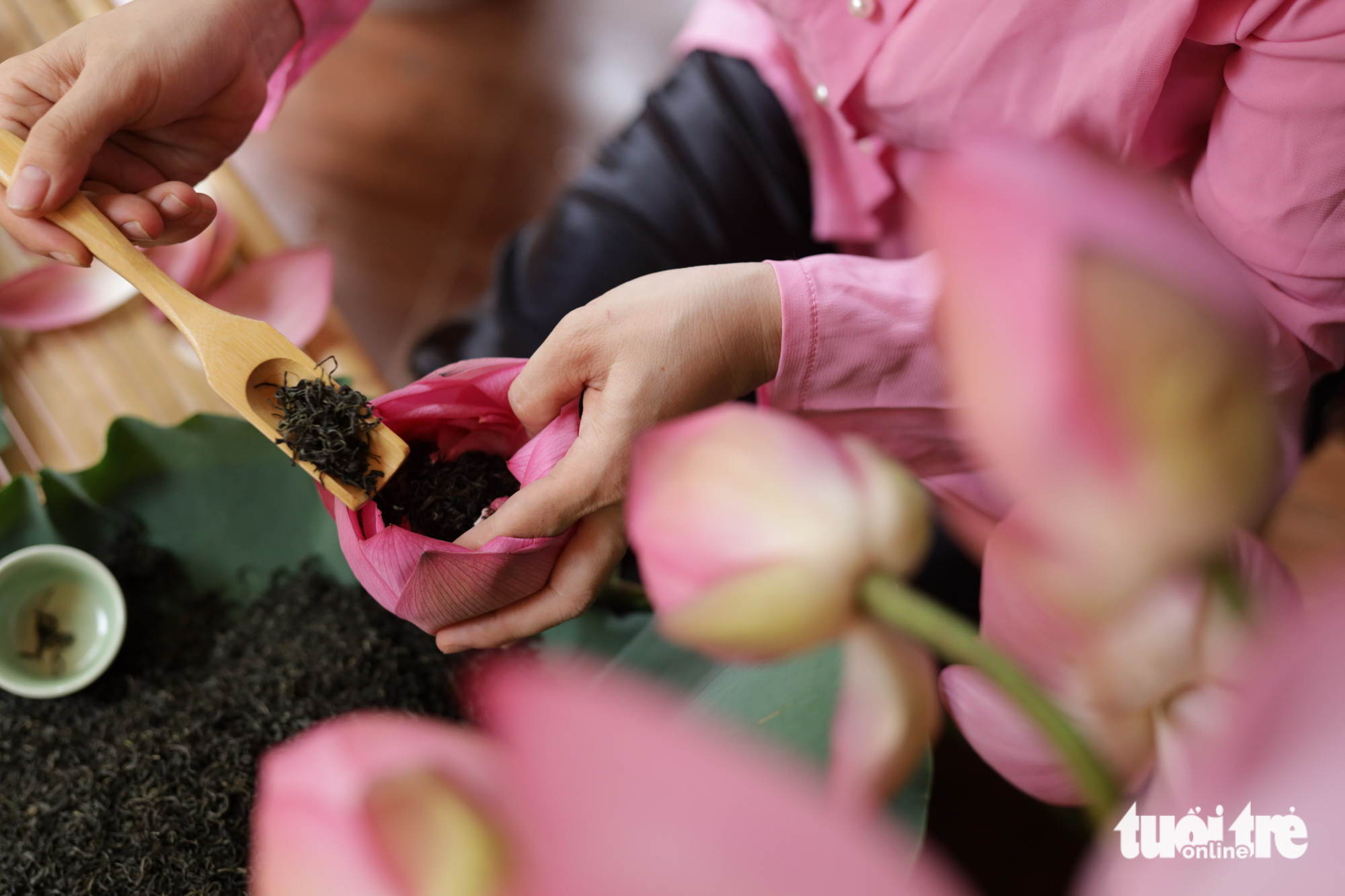 Fragrant revival: Hanoi’s West Lake lotus blooms again after years of decline - Ảnh 2.