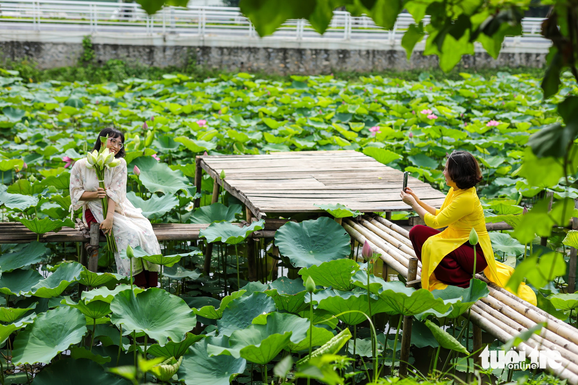 Fragrant revival: Hanoi’s West Lake lotus blooms again after years of decline - Ảnh 3.