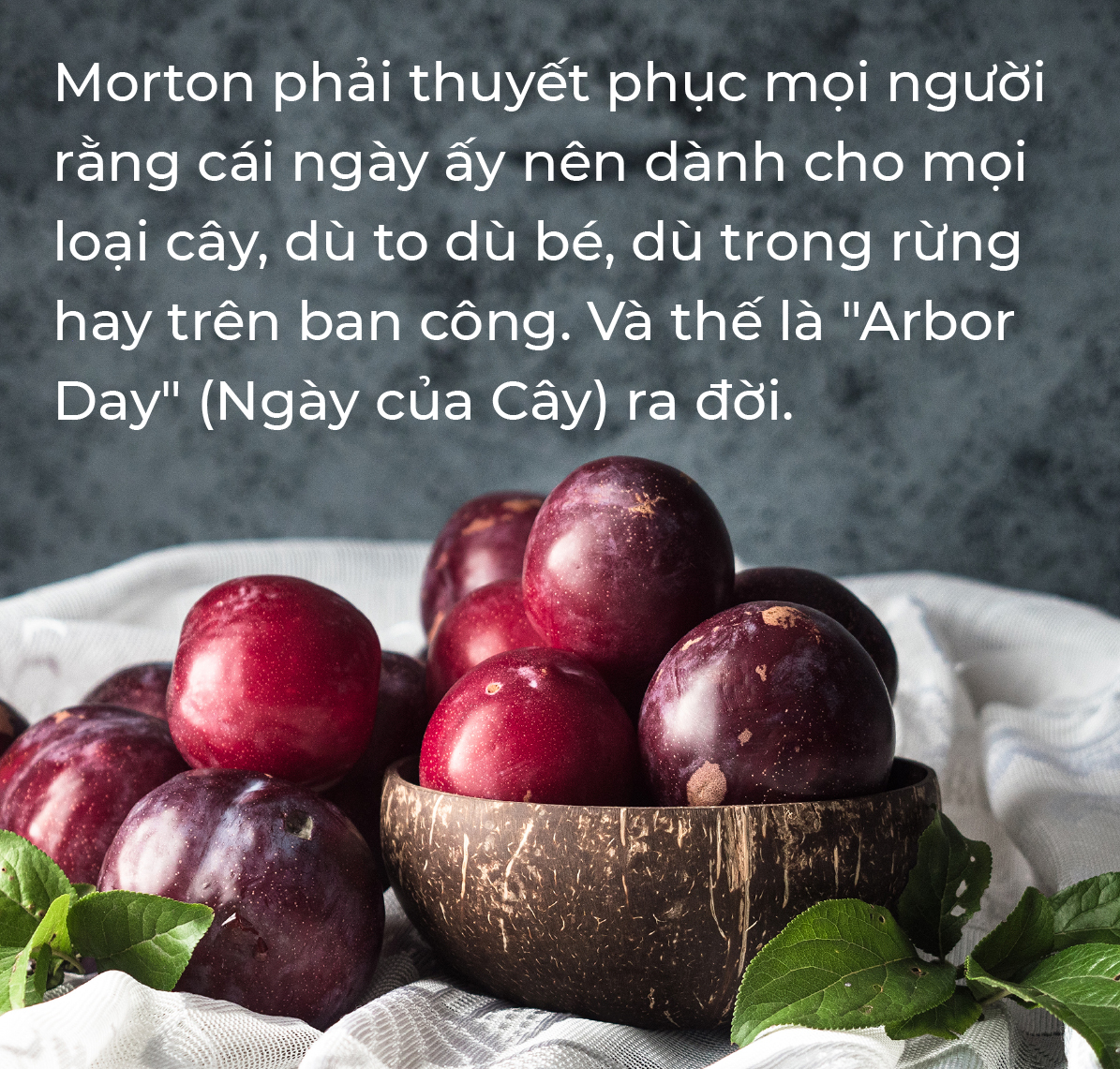 Gương phấn đấu của mận cơm, mận hậu - Ảnh 4.