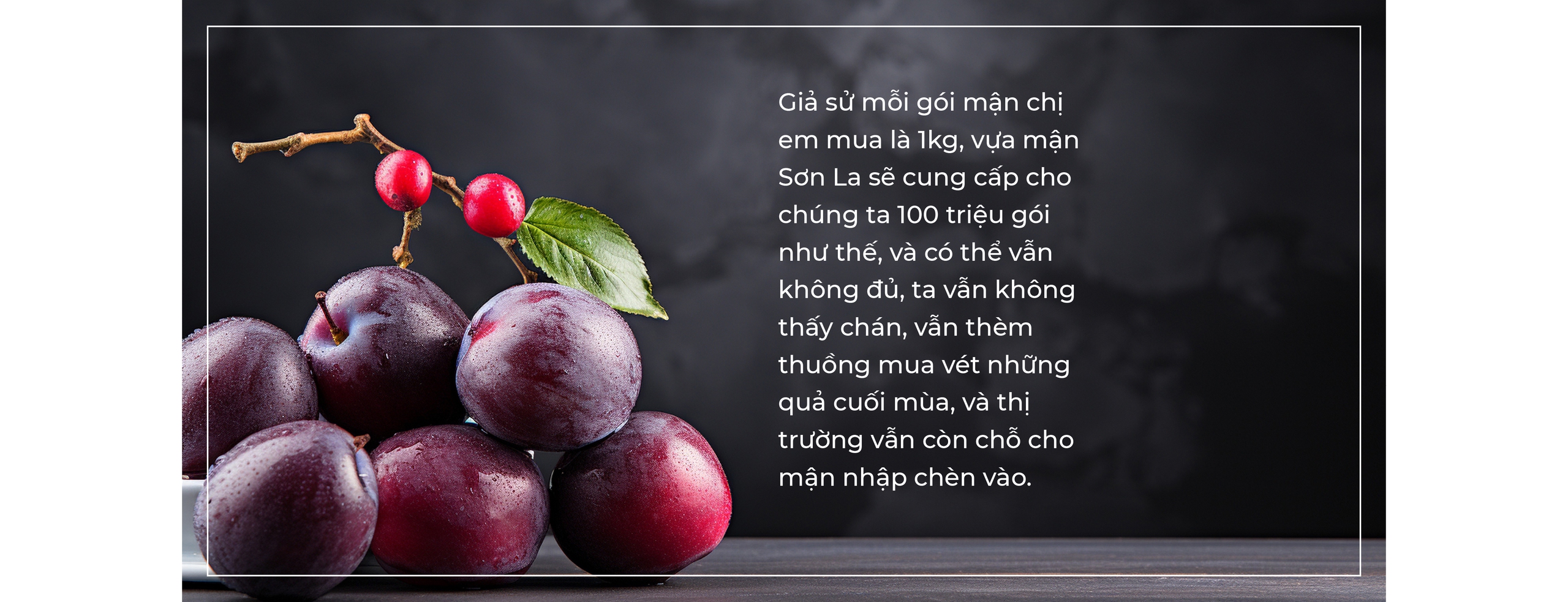 Gương phấn đấu của mận cơm, mận hậu - Ảnh 14. Gương phấn đấu của mận cơm, mận hậu - Ảnh 14.