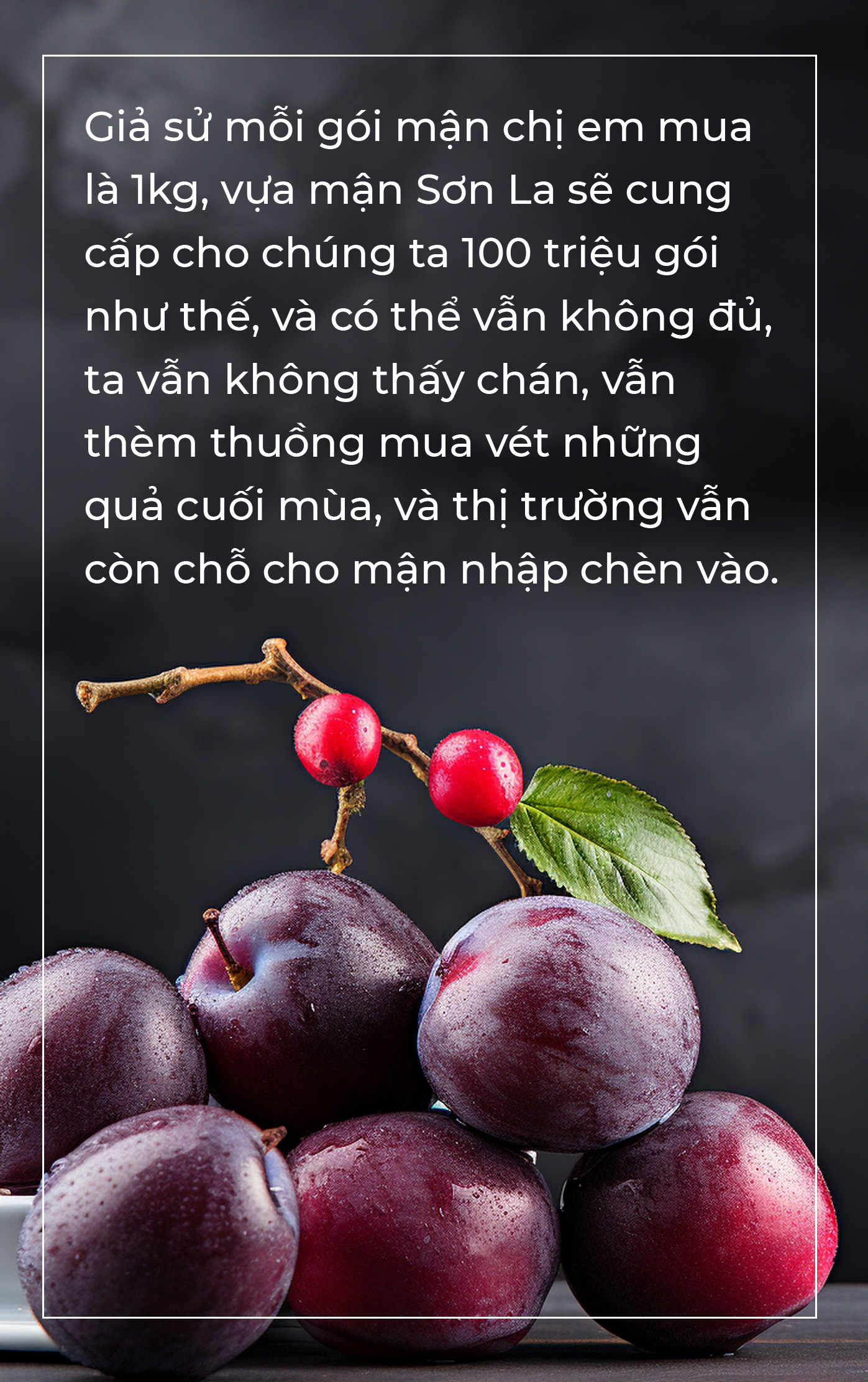 Gương phấn đấu của mận cơm, mận hậu - Ảnh 14.