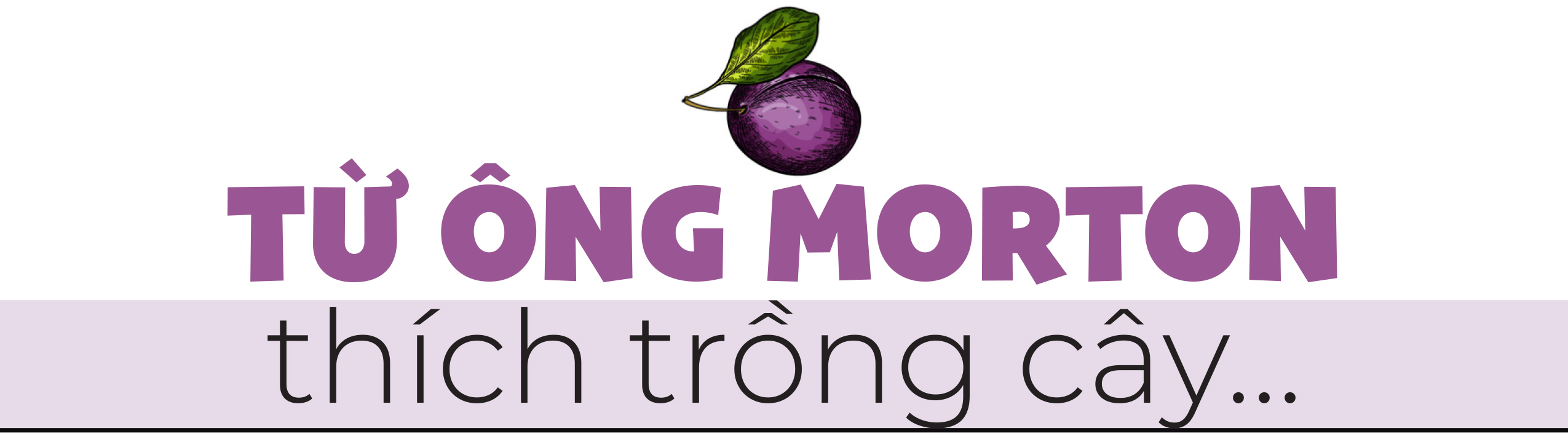 Gương phấn đấu của mận cơm, mận hậu - Ảnh 2. Gương phấn đấu của mận cơm, mận hậu - Ảnh 2.