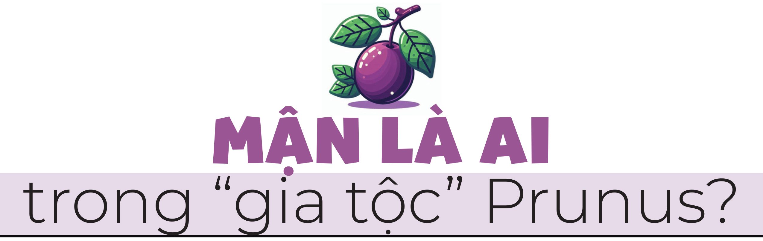 Gương phấn đấu của mận cơm, mận hậu - Ảnh 8. Gương phấn đấu của mận cơm, mận hậu - Ảnh 8.