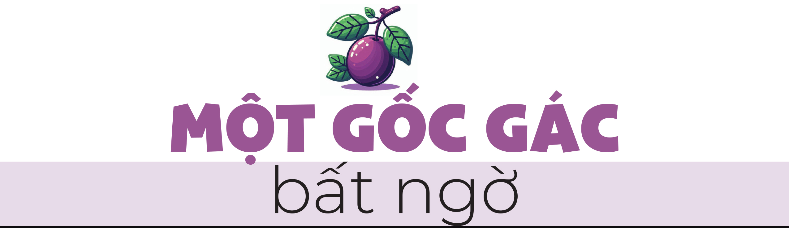 Gương phấn đấu của mận cơm, mận hậu - Ảnh 10. Gương phấn đấu của mận cơm, mận hậu - Ảnh 10.