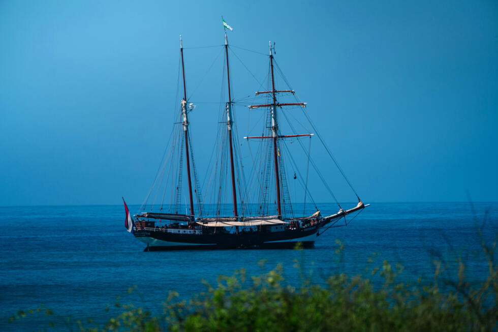 In Darwin's wake: Two-year global conservation voyage sparks hope- Ảnh 3. In Darwin's wake: Two-year global conservation voyage sparks hope- Ảnh 3.