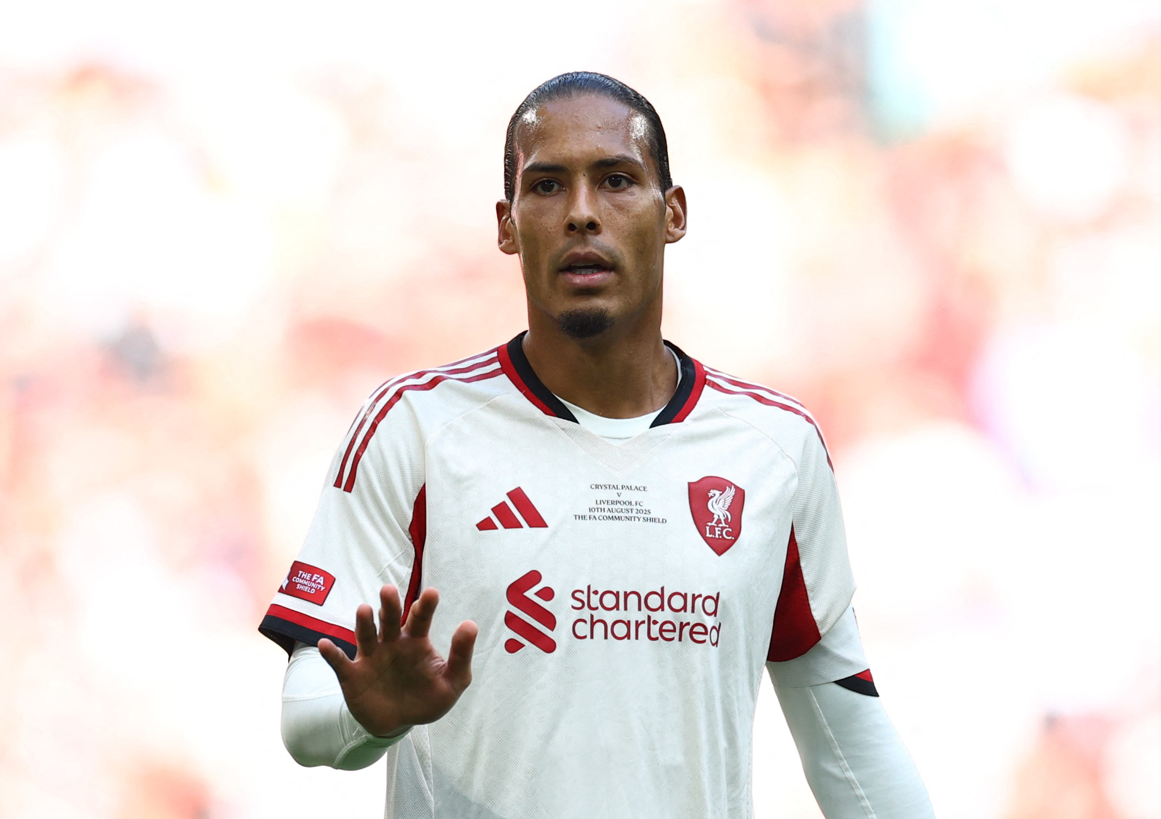 Van Dijk - Ảnh 1.