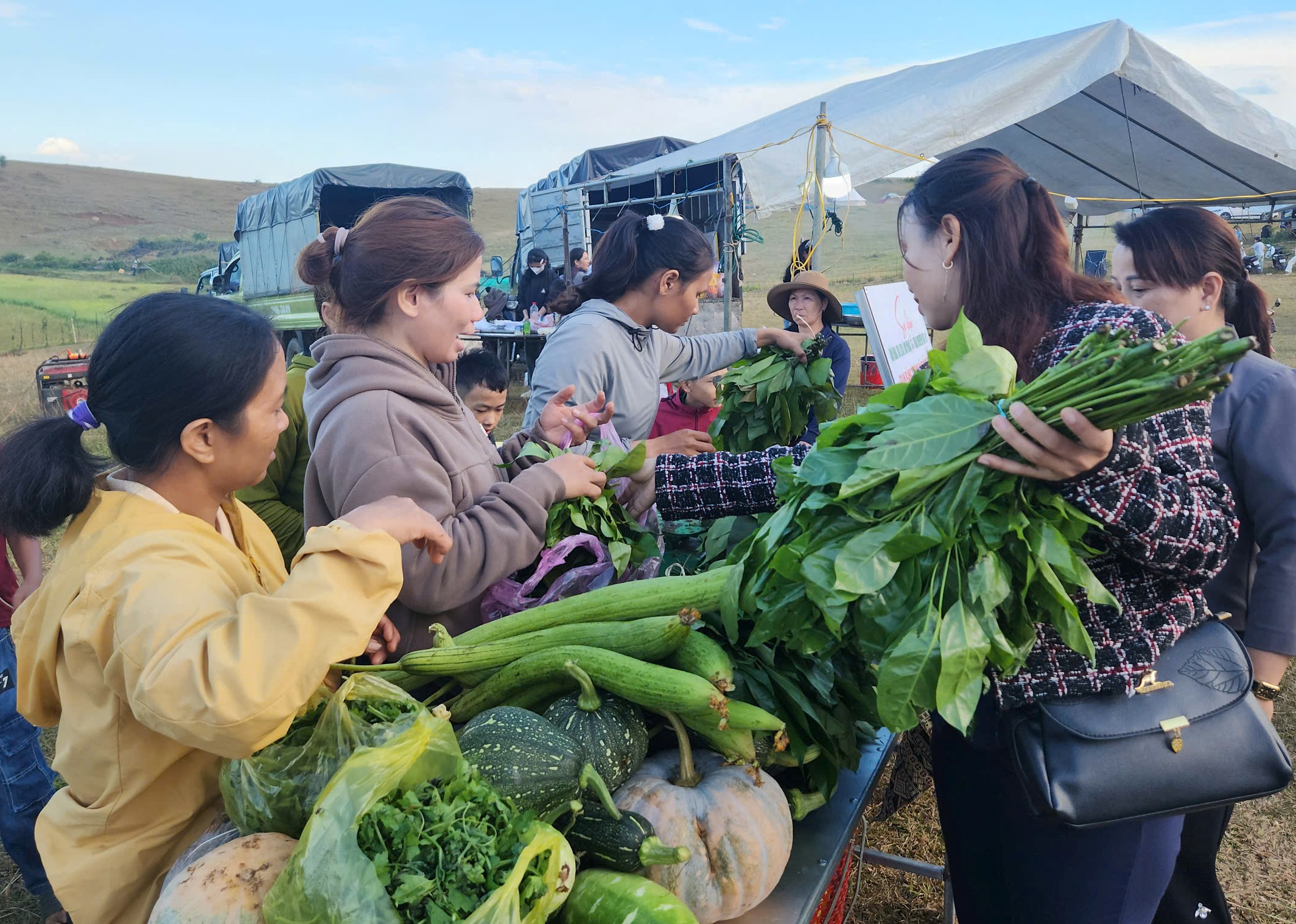 In Vietnam, remote meadow draws 6,000 visitors for cloud-watching festival- Ảnh 6. In Vietnam, remote meadow draws 6,000 visitors for cloud-watching festival- Ảnh 6.