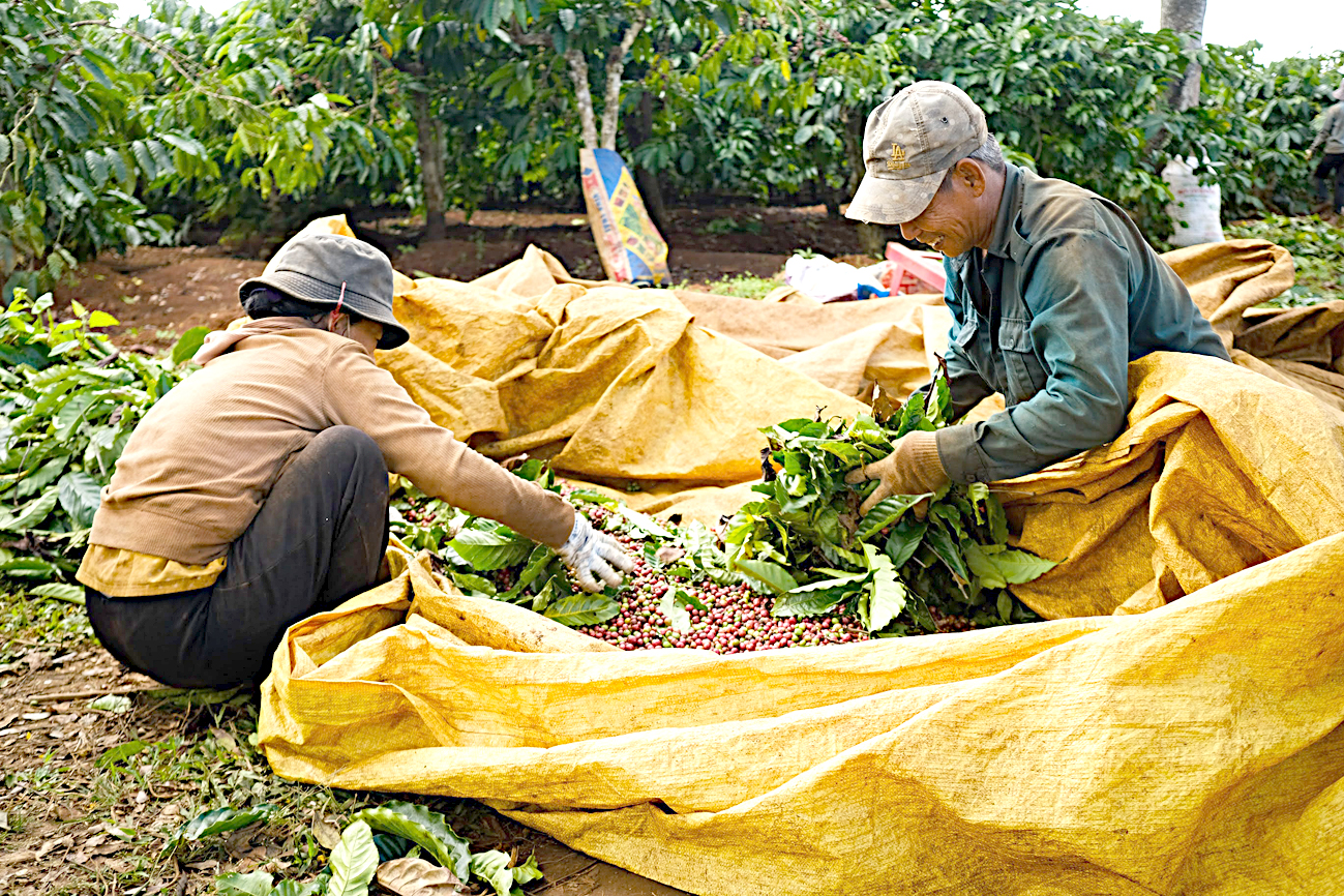 Xuất khẩu nông, thủy sản thắng lớn - Ảnh 3.