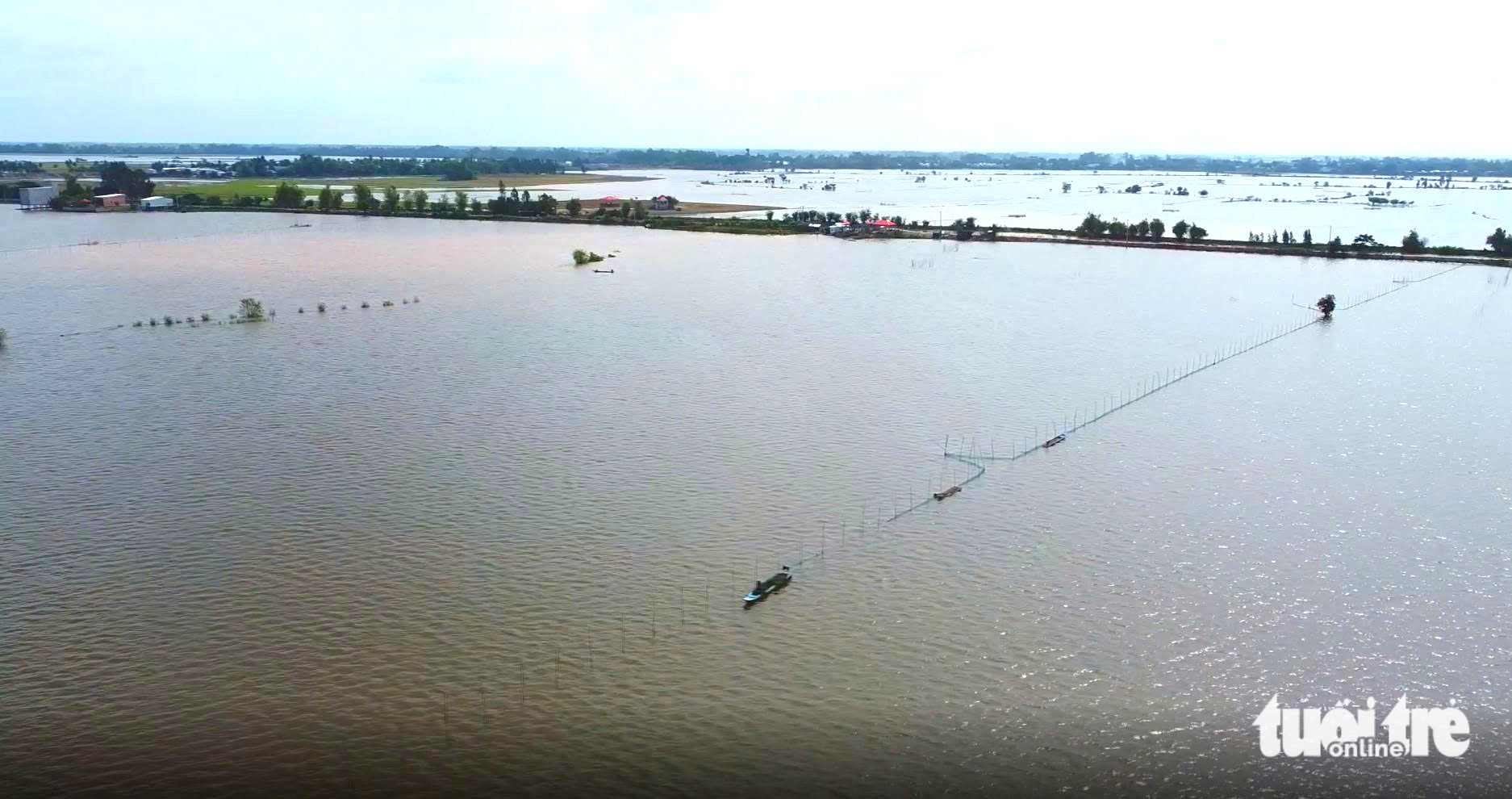Nhộn nhịp chợ cá linh, mùa câu ếch, đặt lọp cua giữa đồng nước nổi miền Tây - Ảnh 1.