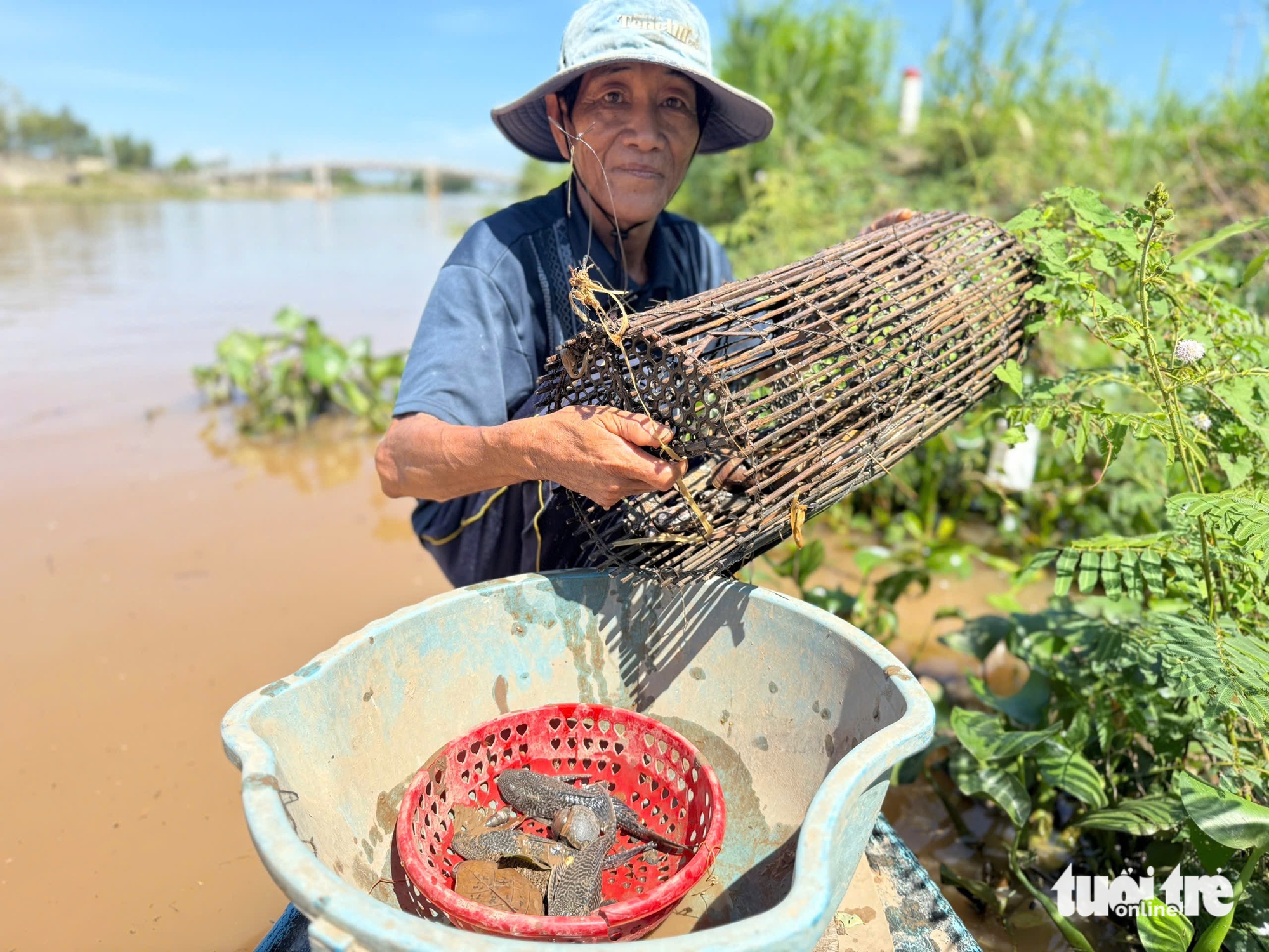 Nhộn nhịp chợ cá linh, mùa câu ếch, đặt lọp cua giữa đồng nước nổi miền Tây - Ảnh 5.
