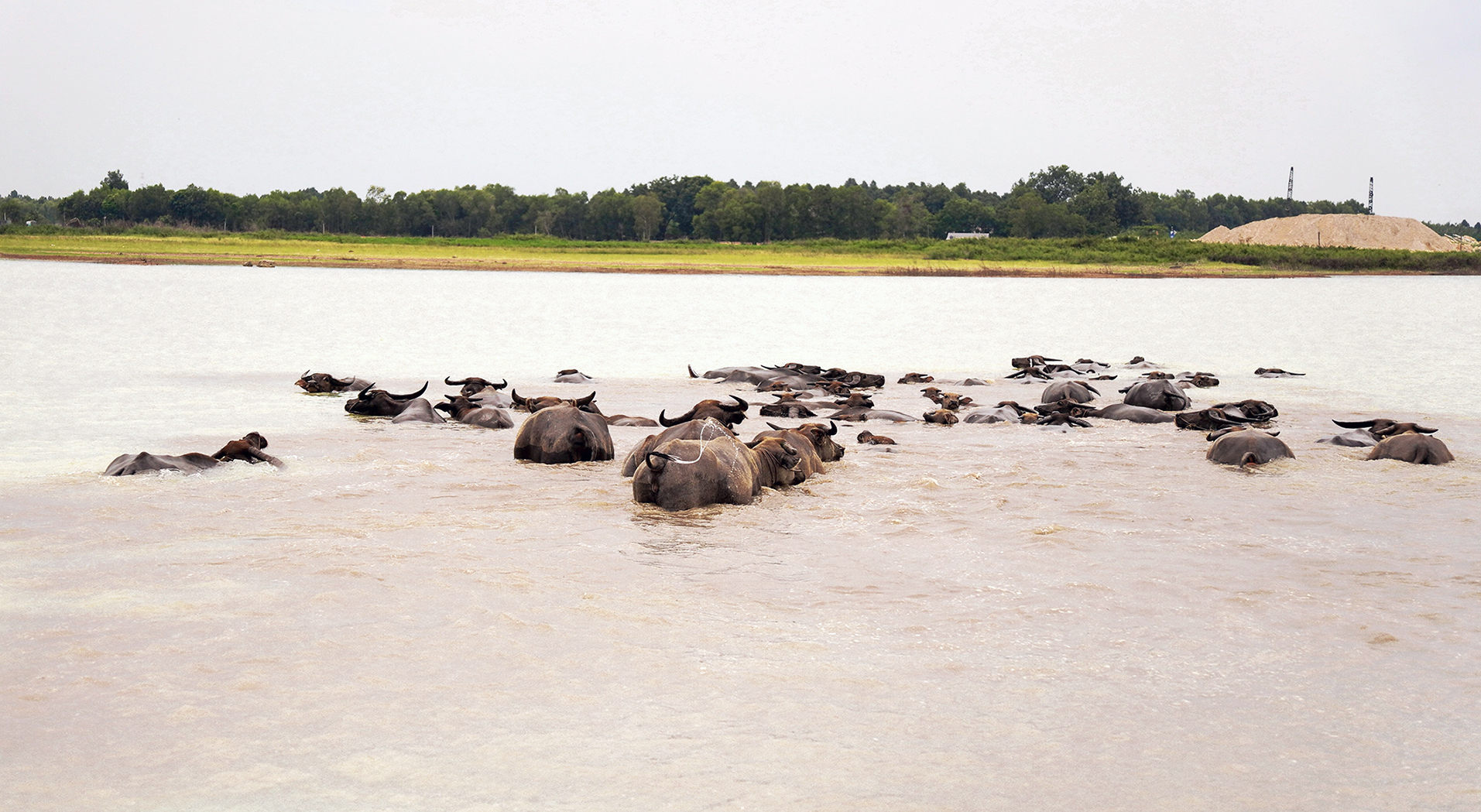 Dầu Tiếng - Ảnh 3.