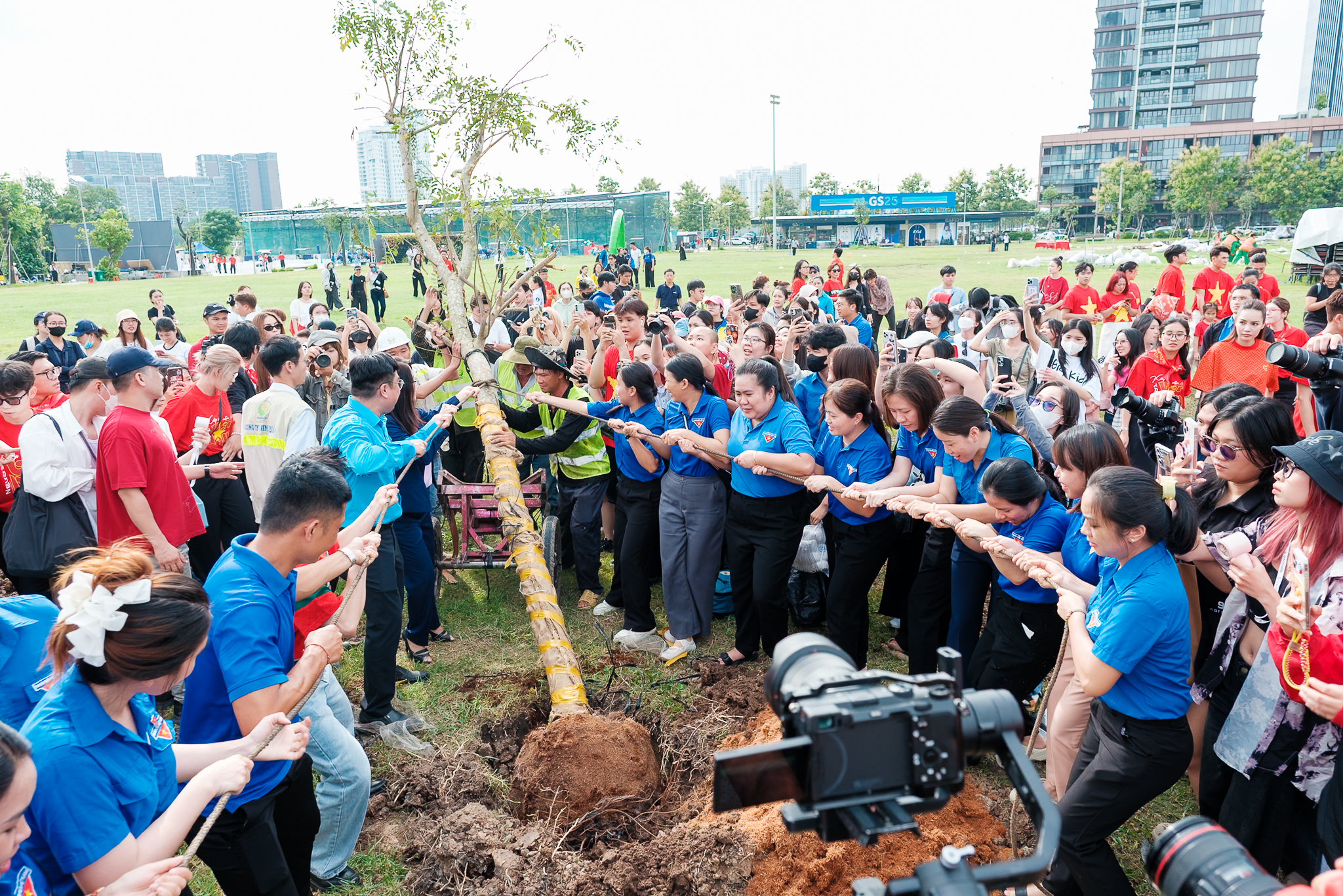 Hồ Ngọc Hà, Ngọc Châu, Lê Hoàng Phương trồng muồng hoa đào cho TP.HCM - Ảnh 1.