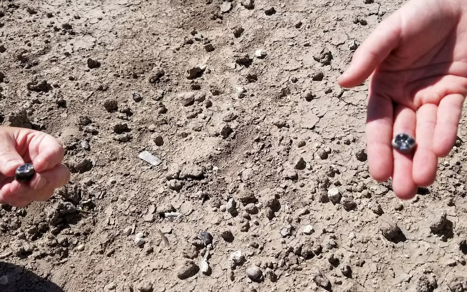 Hand and foot fossils found in Kenya for ancient human relative - Ảnh 2.