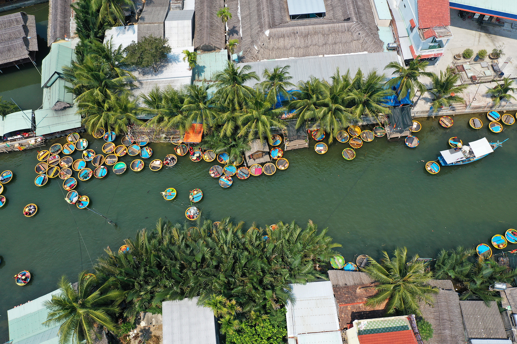 Việt Nam - Ảnh 1.