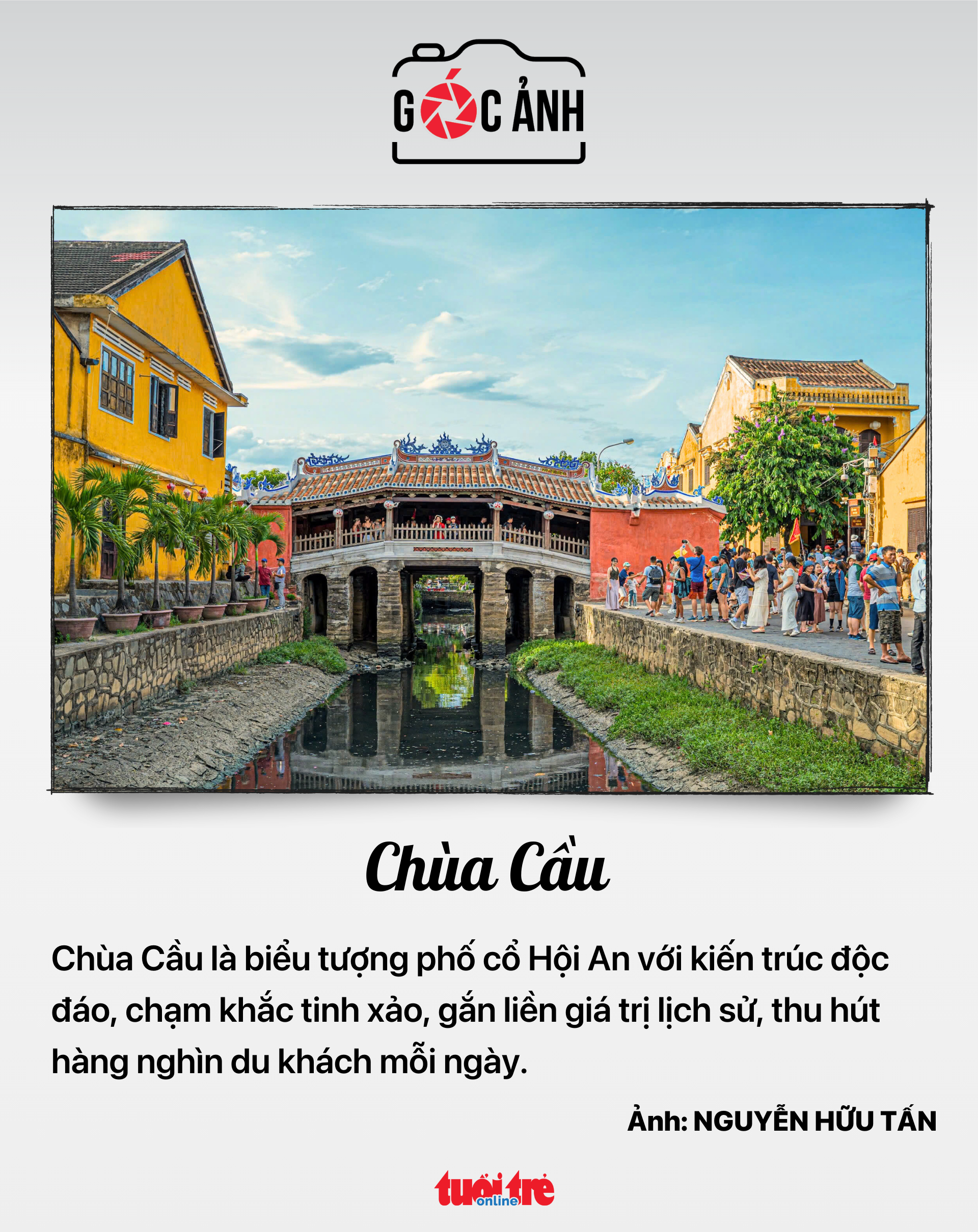 tin tức - Ảnh 8.