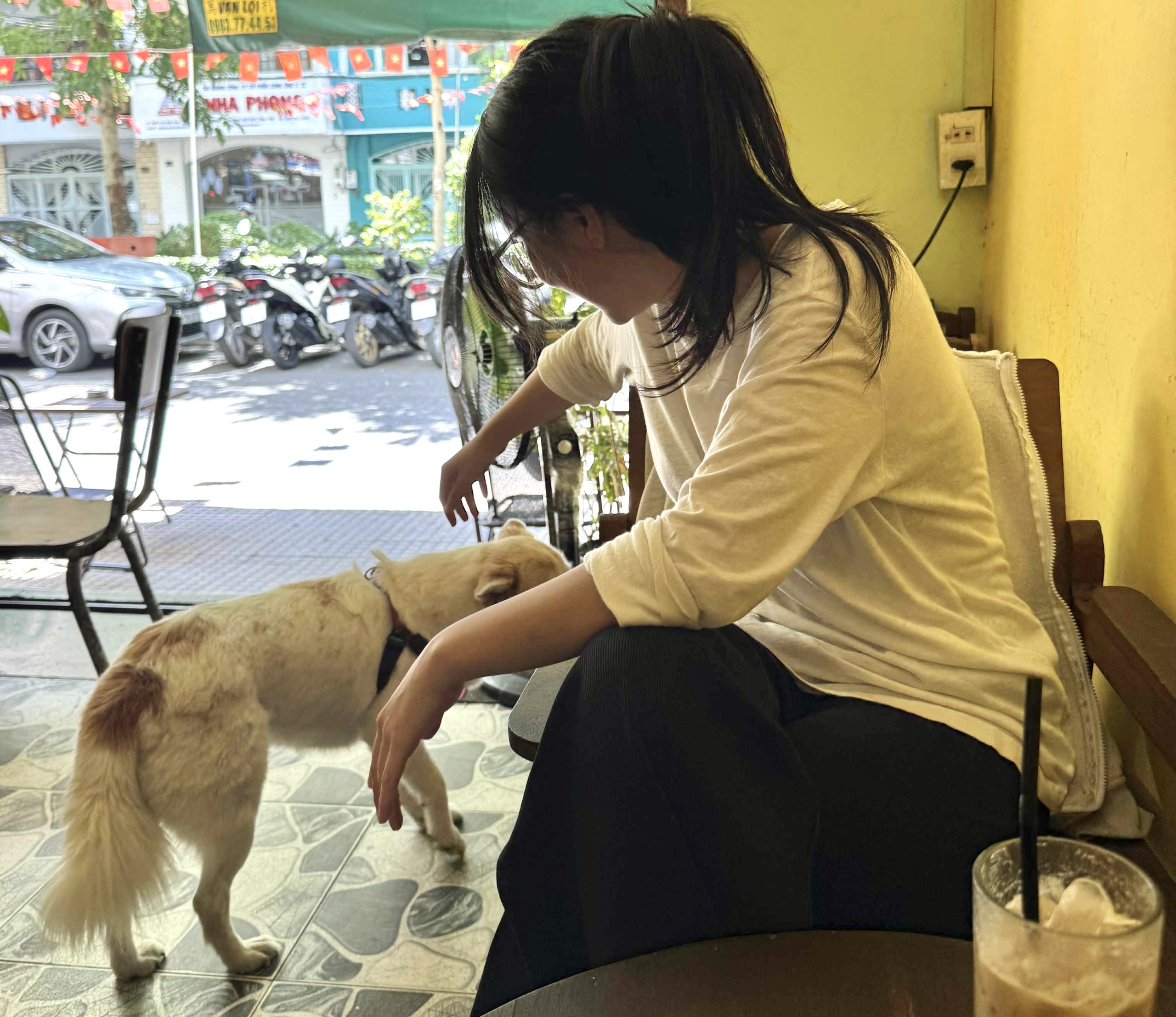 Vài năm trước dắt chó mèo theo vào quán là chuyện thường, nay sao lại ...