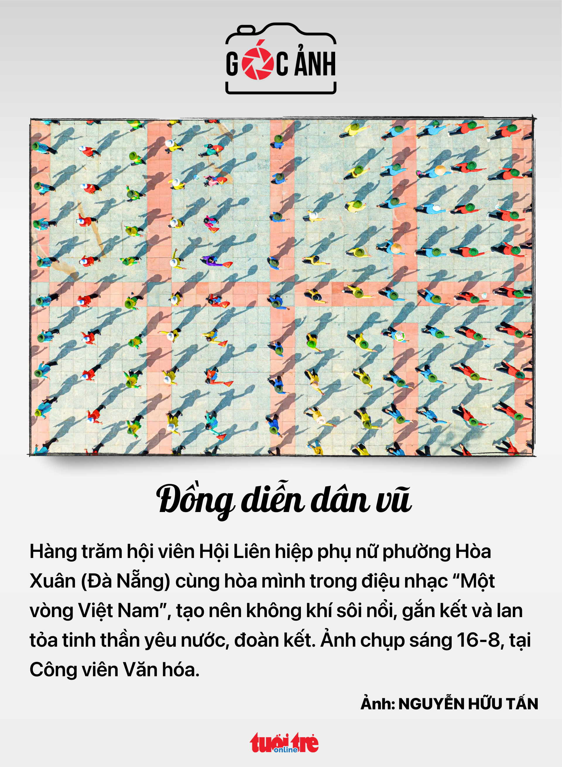 Chikungunya - Ảnh 6.