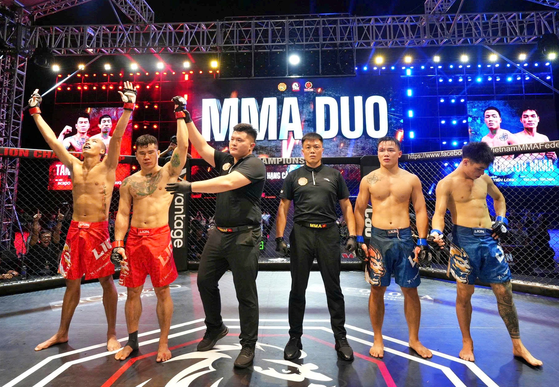 lion championship - Ảnh 1.