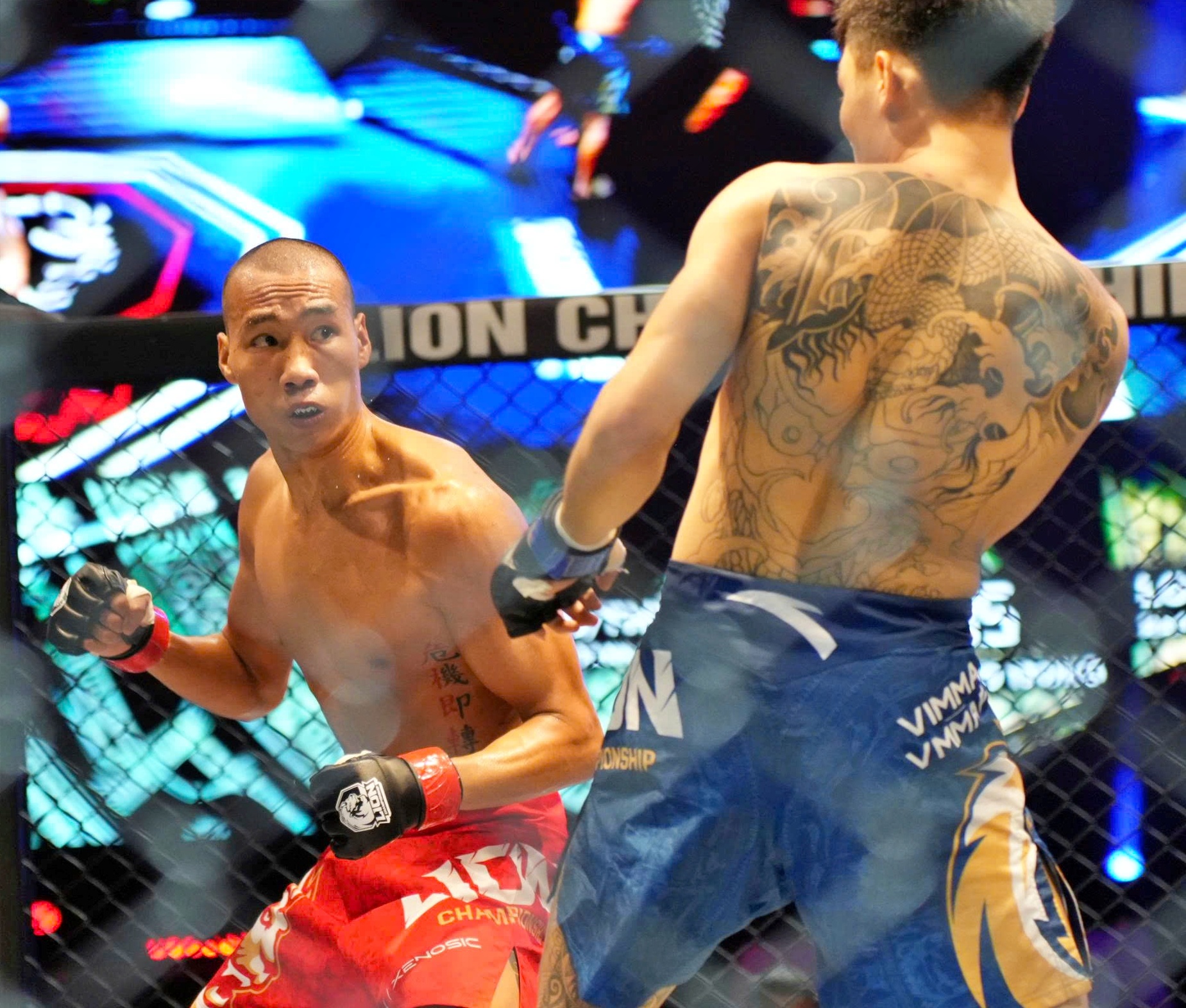 lion championship - Ảnh 2.