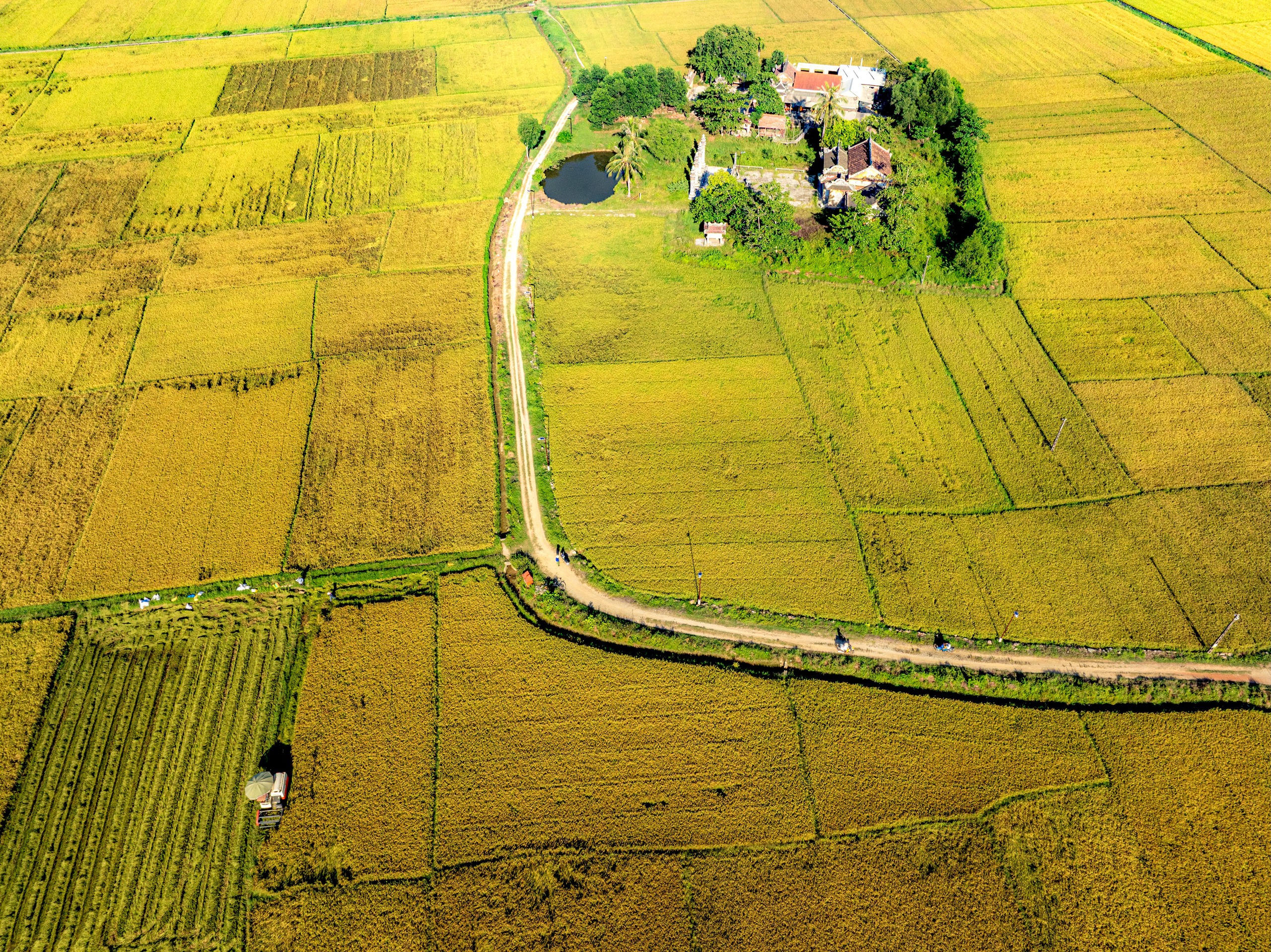Ngắm cánh đồng lúa vàng ươm thơ mộng ở Xuân Tùy, TP Huế từ trên cao - Ảnh 4.