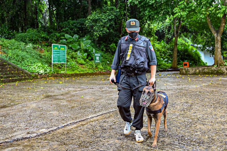 Corpo de turista desaparecido é encontrado no Parque Nacional Cuc Phuong - Foto 1. Tìm thấy thi thể nam du khách mất tích tại Vườn quốc gia Cúc Phương - Ảnh 1.