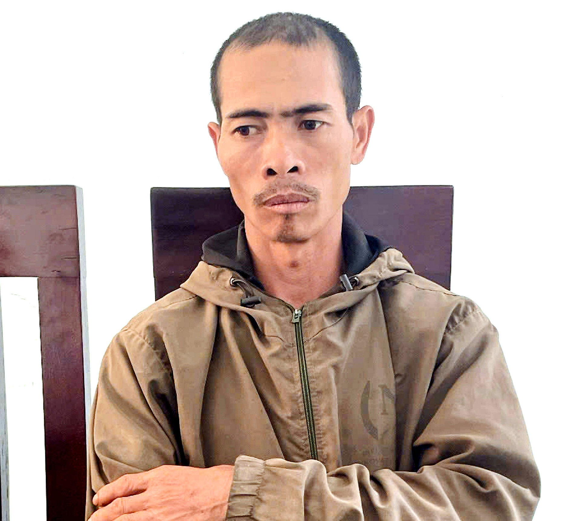 Chặt phá vườn cà phê của em vợ, anh rể nhận 2 năm 9 tháng tù - Ảnh 1.