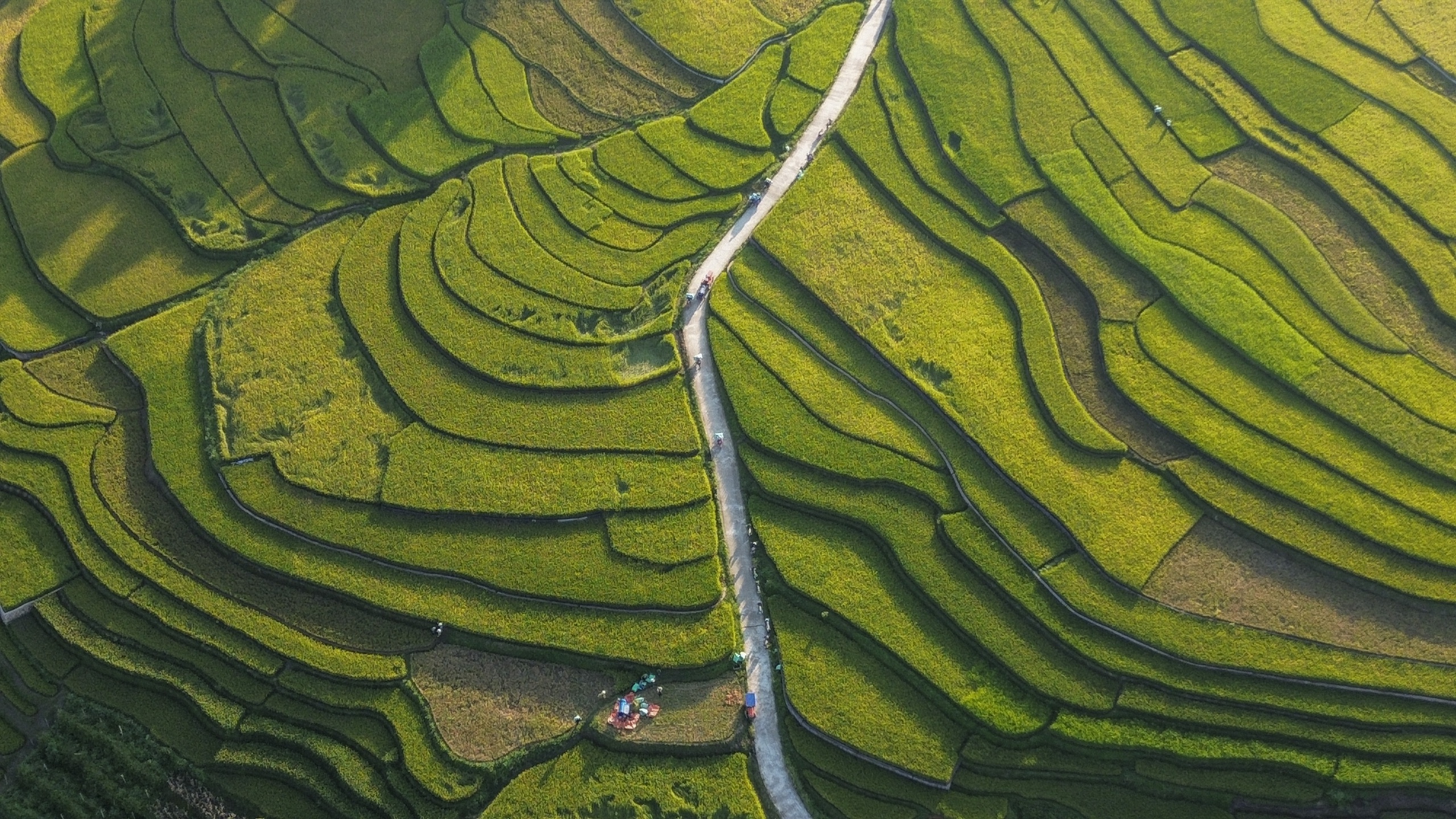 Northern Vietnam village welcomes tourists with patriotic terraced views - Ảnh 5.