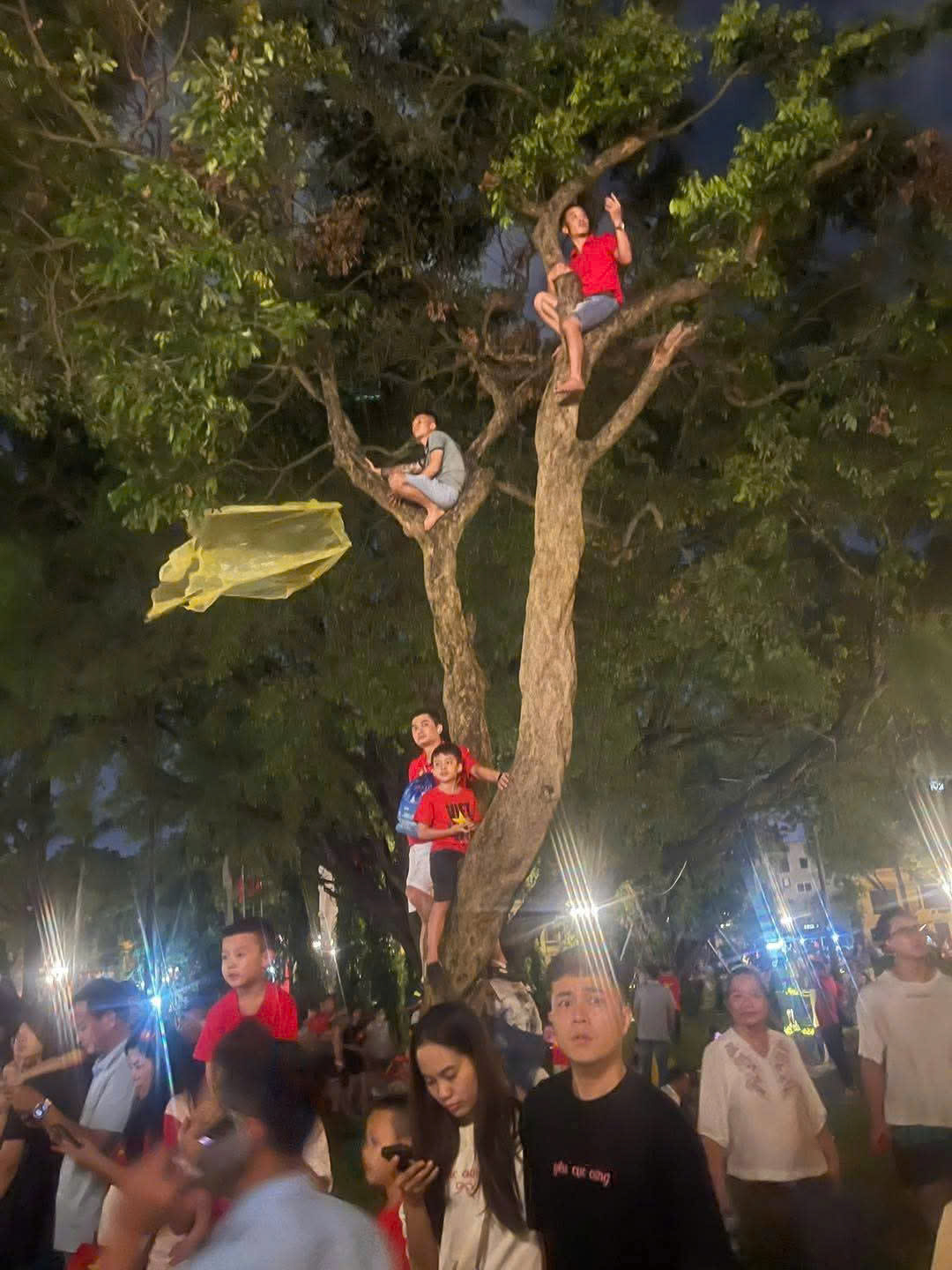 diễu binh - Ảnh 2.