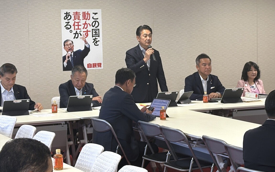 Japan denies reported special visas for young Africans- Ảnh 2.