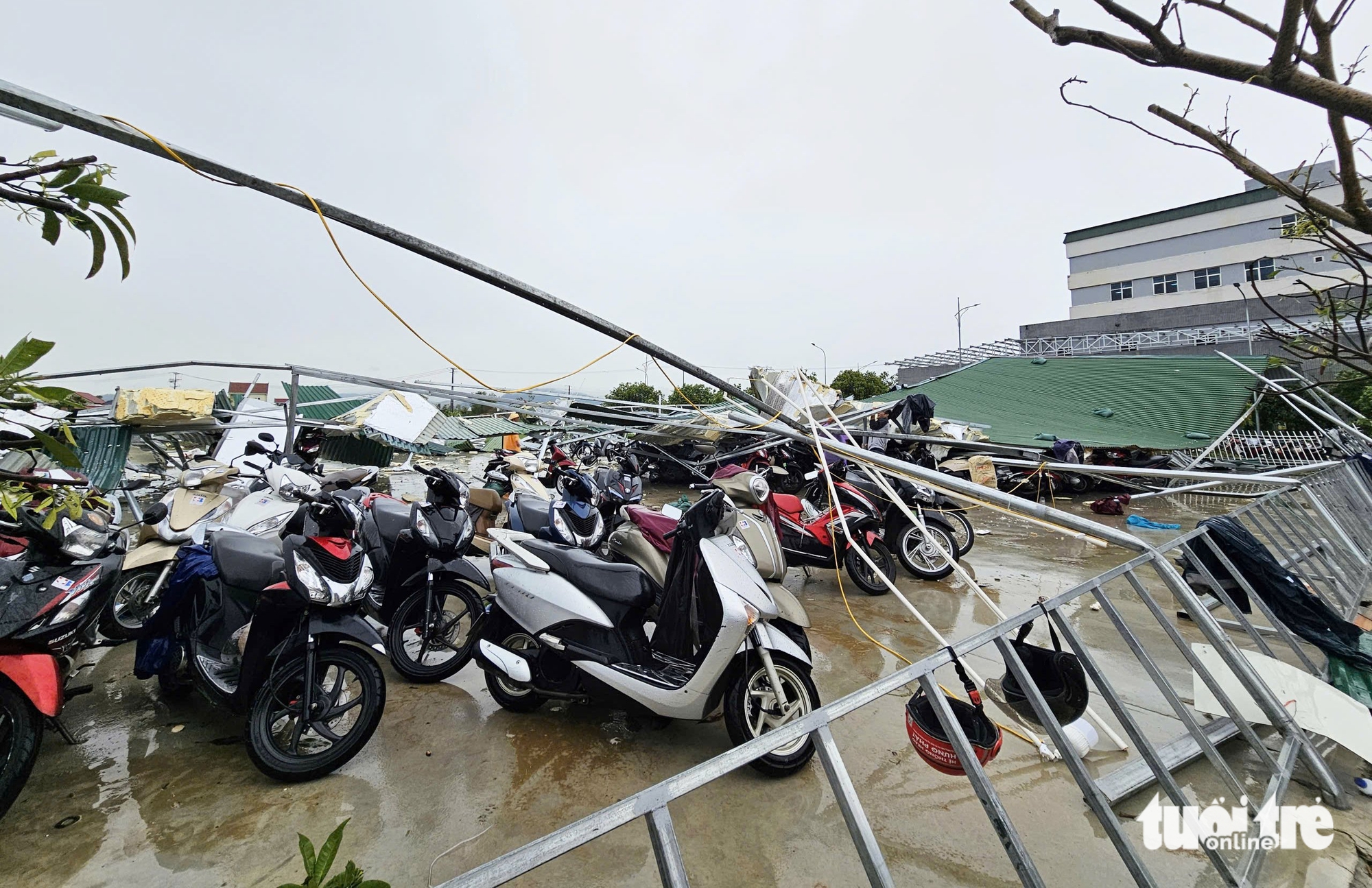 bão số 5 - Ảnh 10.