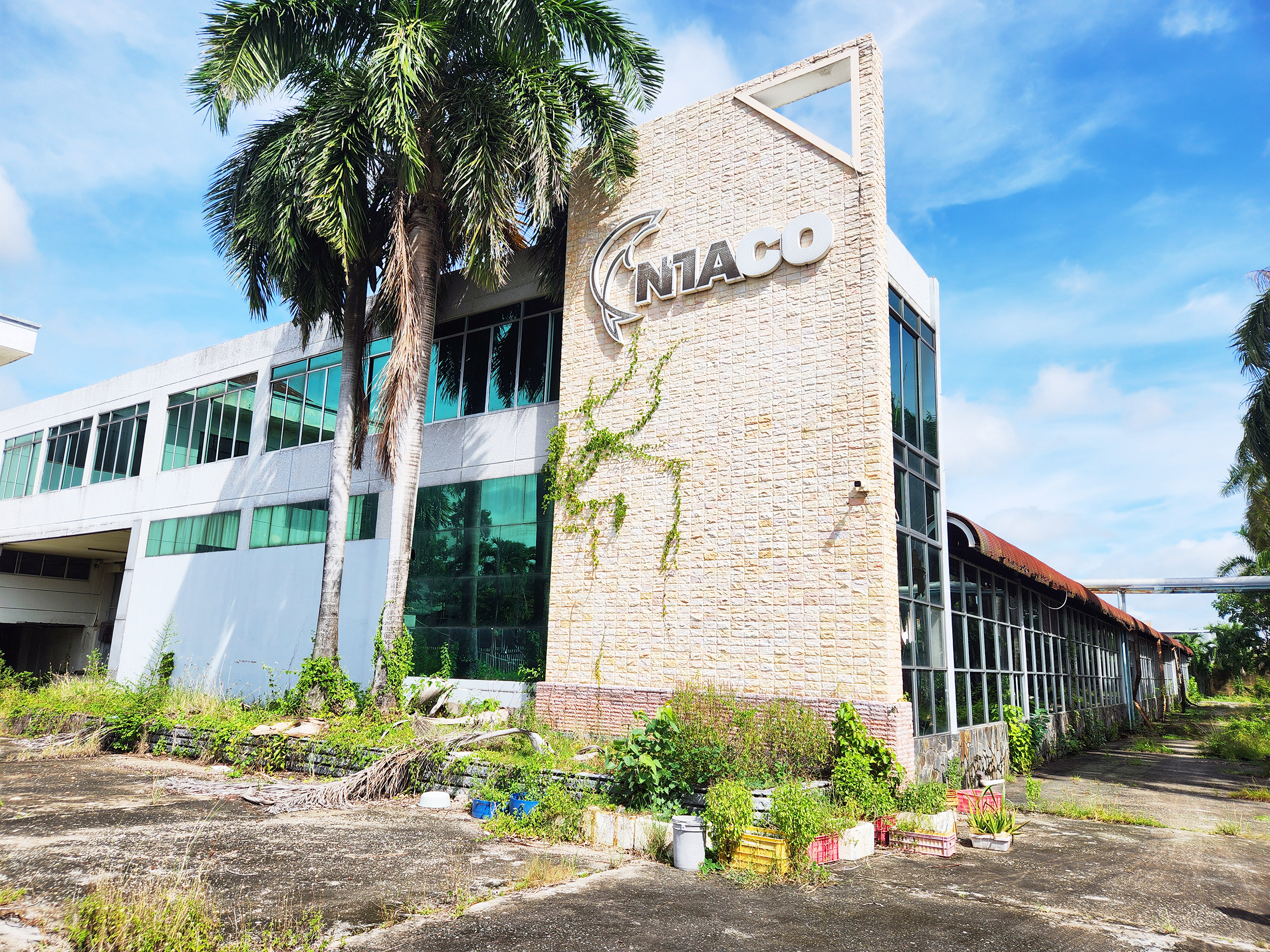 đấu giá - Ảnh 1.