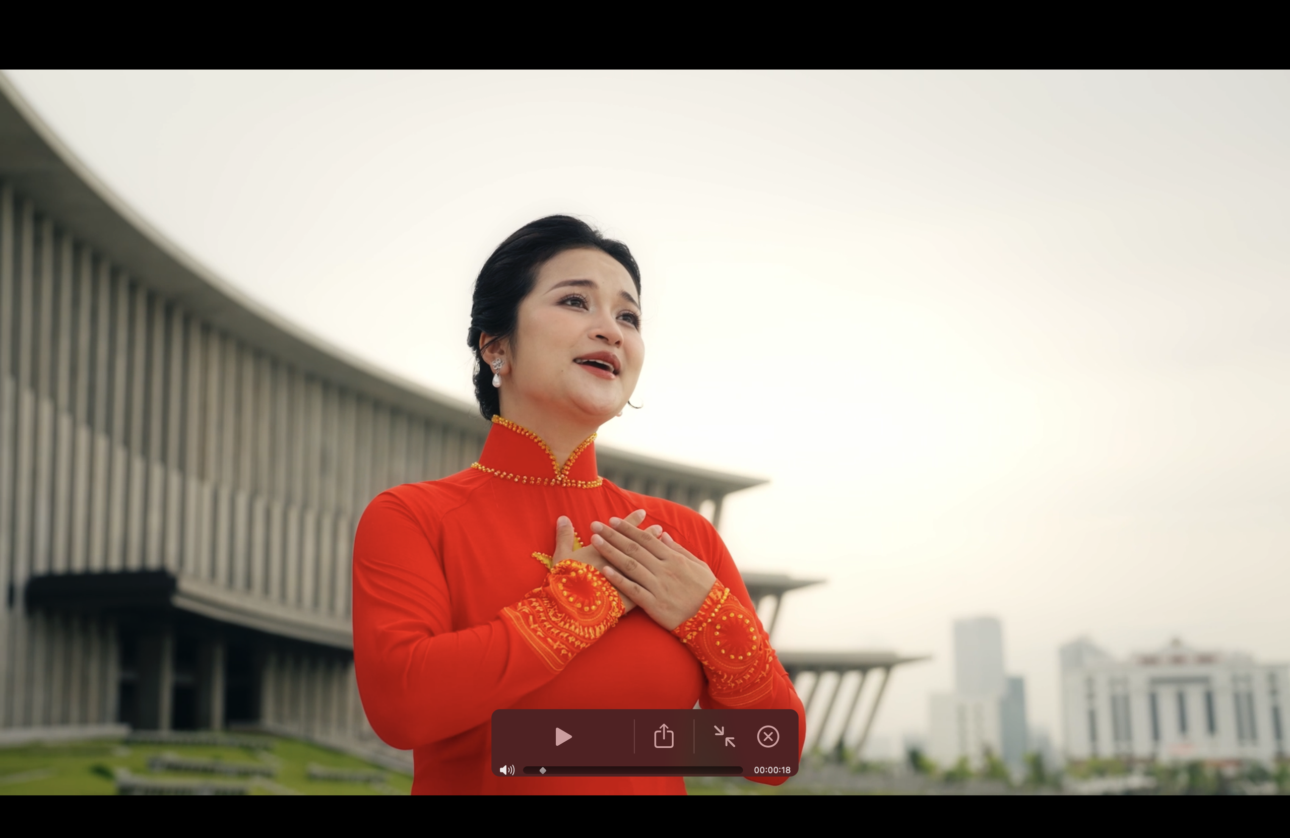 Việt Nam ơi, cùng bước tới vinh quang - Ảnh 2.