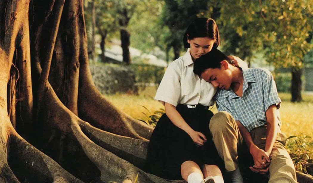 Bên trong vỏ kén vàng - Ảnh 3.