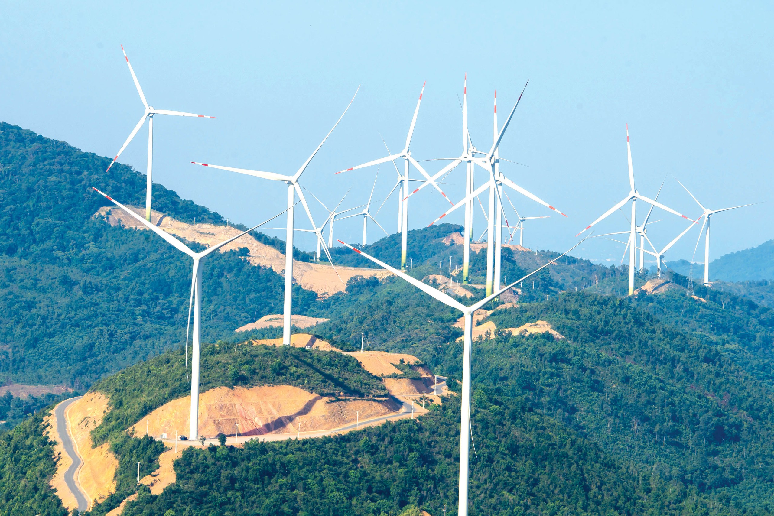 phát triển - Ảnh 1.