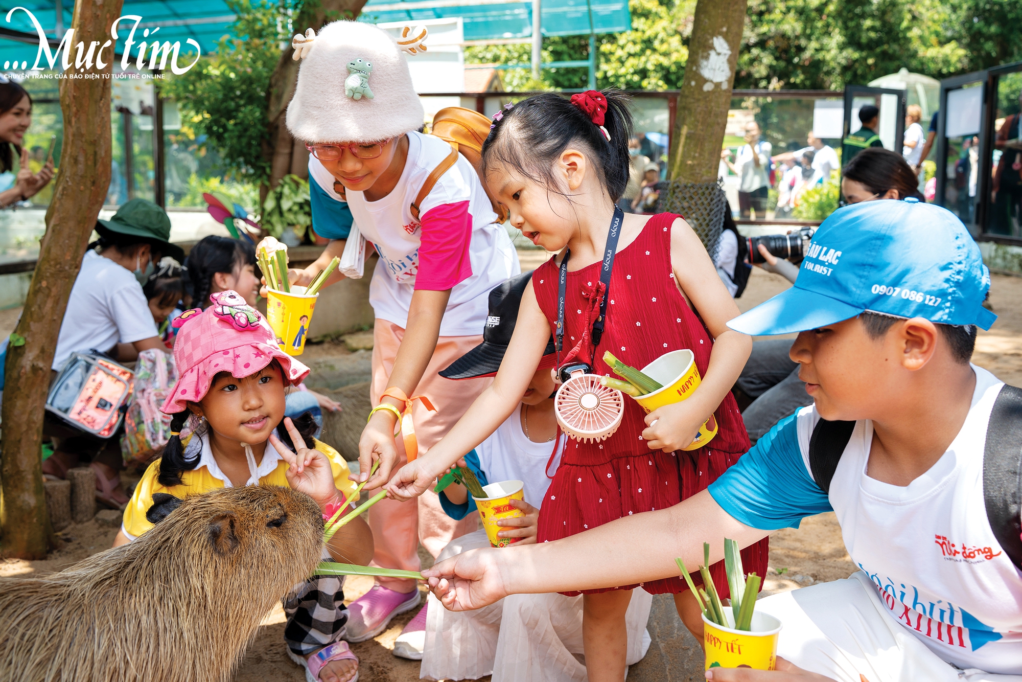 Đi 'săn' kho báu màu xanh cùng CLB Ngòi bút nhỏ xinh- Ảnh 10.