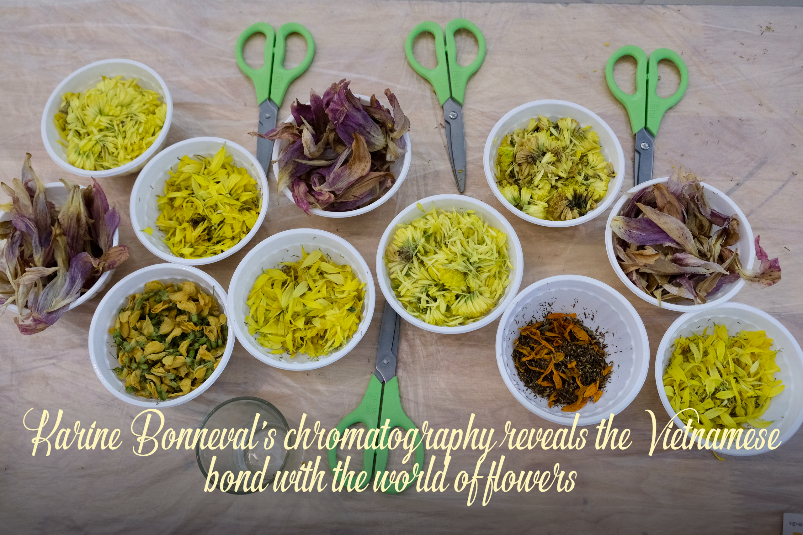 French artist Karine Bonneval’s chromatography reveals the Vietnamese bond with the world of flowers