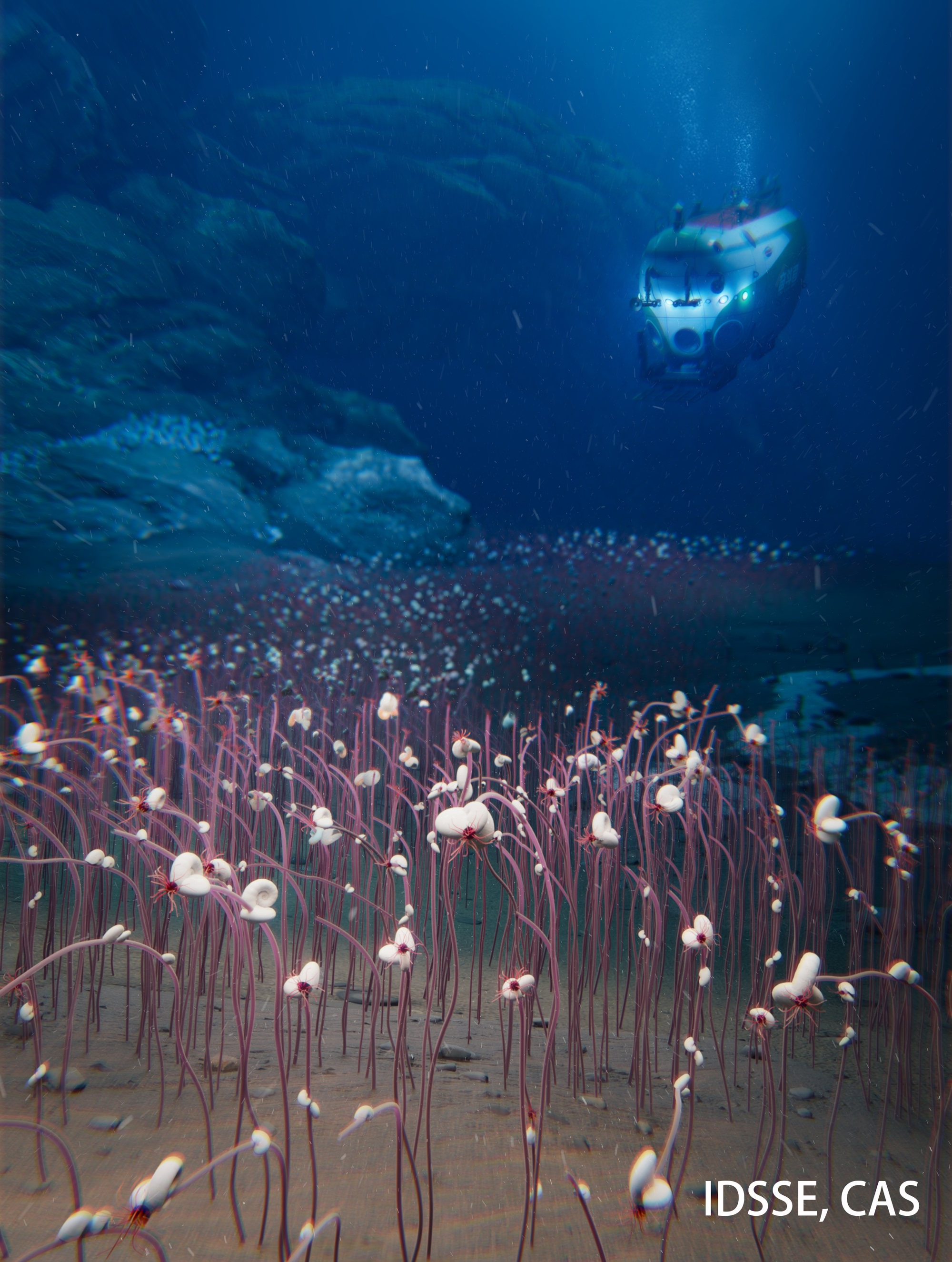 Phát hiện cộng đồng sinh vật sống bằng hóa chất dưới đáy biển sâu 9,5km - Ảnh 1.