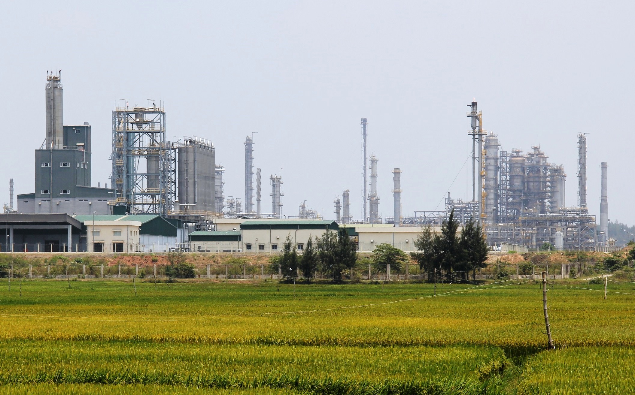 Công khai 9 đồ án quy hoạch Khu kinh tế Dung Quất, mở đường thu hút nhà đầu tư chiến lược - Ảnh 3.
